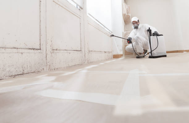 24/7 Emergency Mold Remediation experts in Henderson, TN